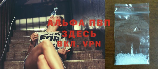 спиды Богданович