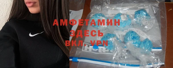 спиды Богданович