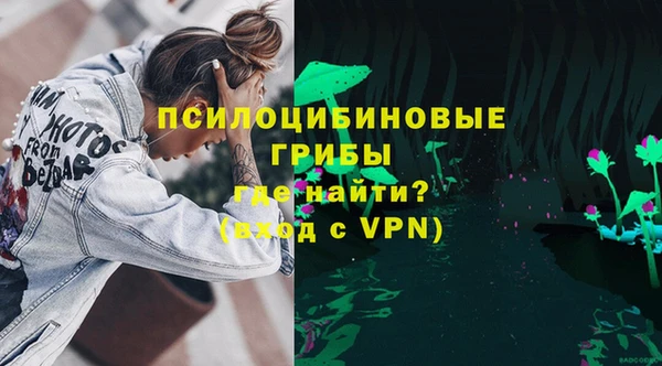 спиды Богданович