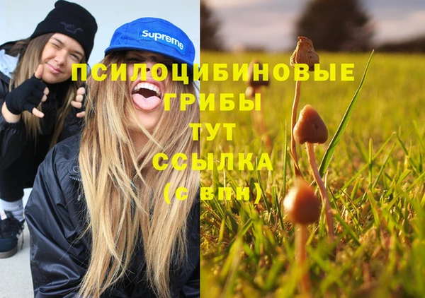 спиды Богданович