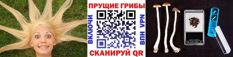 Галлюциногенные грибы прущие грибы  Качканар 